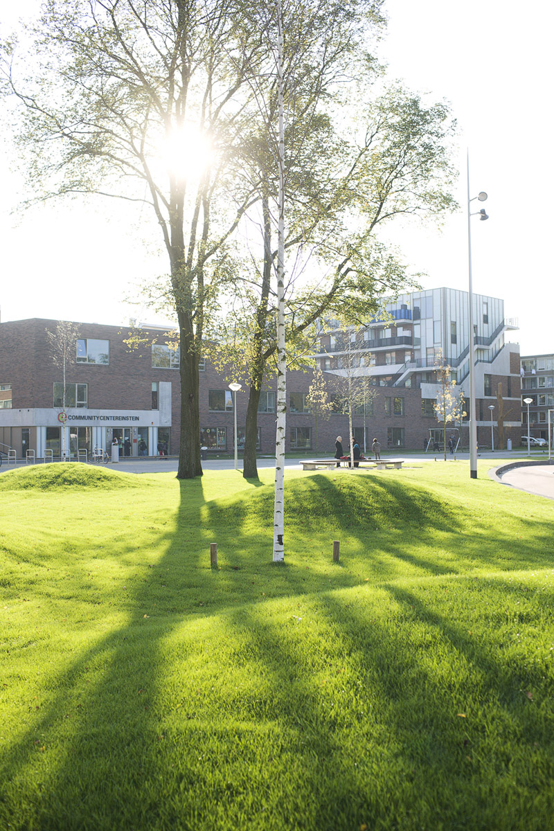 Green hills to play at and tree benches on the background